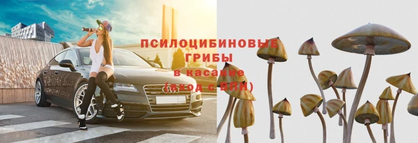 spice Балахна