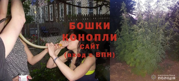 PSILOCYBIN Балабаново
