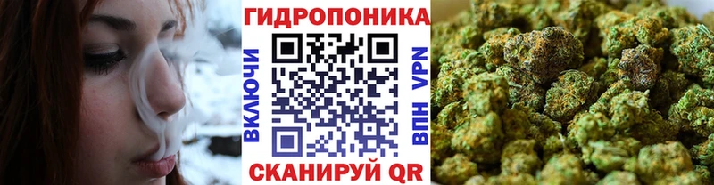 Бошки марихуана семена Кунгур
